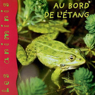 Au bord de l'étang