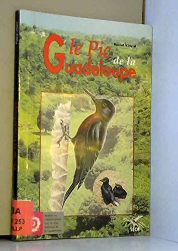 Le pic de la Guadeloupe et les Melanerpes insulaires