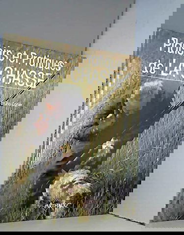 Plaisirs et pratiques de la chasse