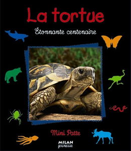 La tortue, étonnante centenaire