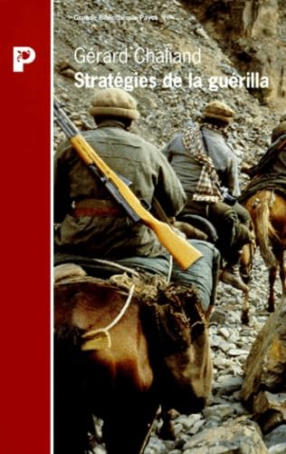 Stratégies de la guérilla. Voyage dans vingt ans de guérillas et autres conflits irréguliers