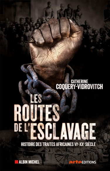Les routes de l'esclavage : histoire des traites africaines, VIe-XXe siècle