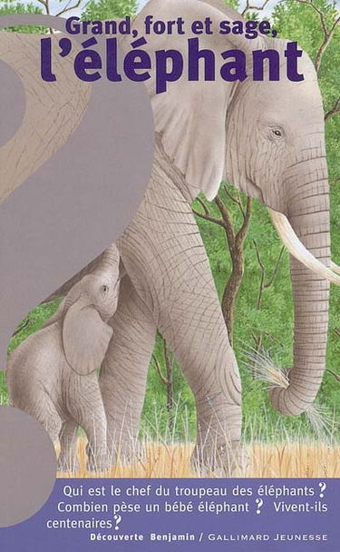 Grand, fort et sage, l'éléphant