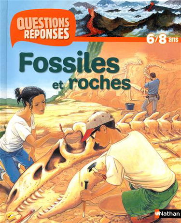 Fossiles et roches