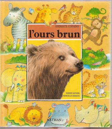 L'ours brun