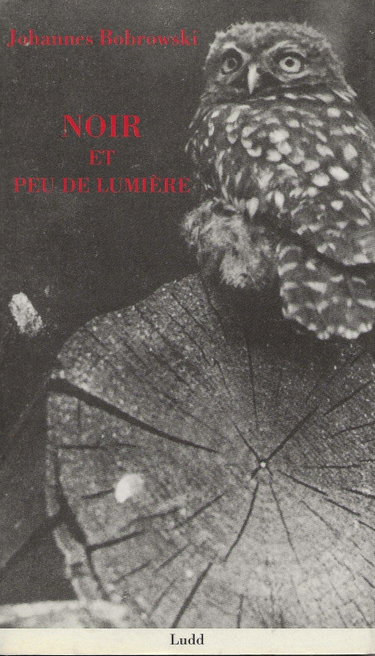 Couverture de Noir et peu de lumière