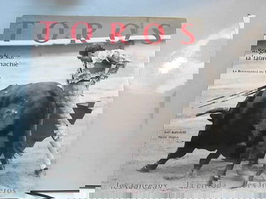 Toros : regard sur la tauromachie : regards sur la tauromachie