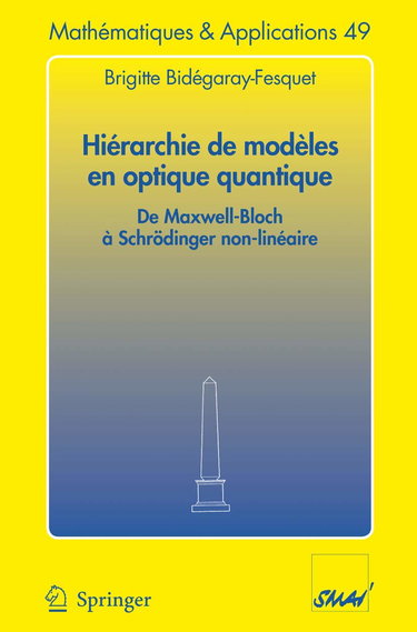 Hiérarchie de modèles en optique quantique : de Maxwell-Bloch à Schrödinger non-linéaire