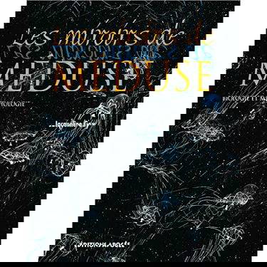 Les miroirs de Méduse