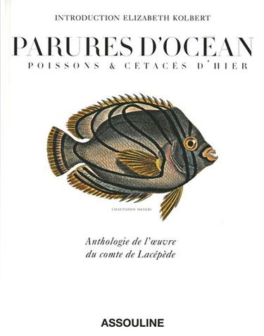 Parures d'océan : poissons et cétacés d'hier