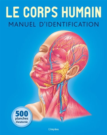 Couverture de Le corps humain : manuel d'identification : 500 planches d'anatomie