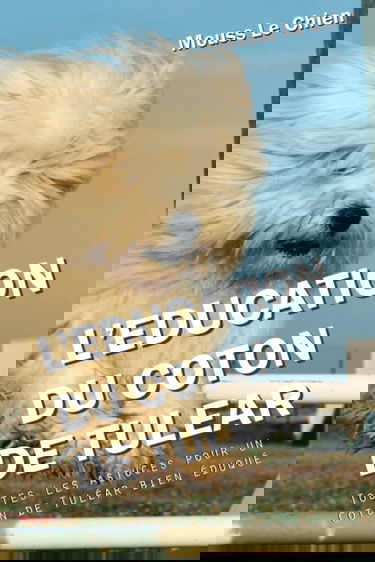 L'EDUCATION DU COTON DE TULEAR: Toutes les astuces pour un Coton de Tuléar bien éduqué