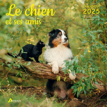 Couverture de Le chien et ses amis : calendrier 2025 : de septembre 2024 à décembre 2025 par Collectif
