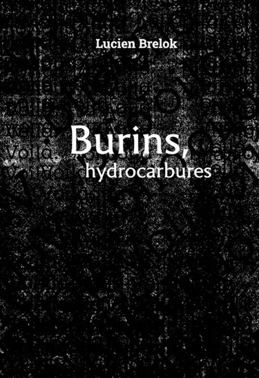 Couverture de Burins, hydrocarbures