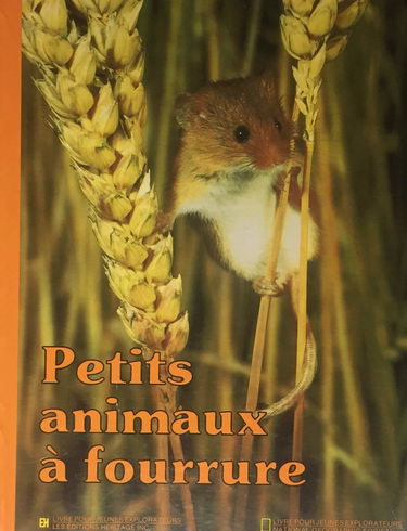 Petits animaux � fourrure