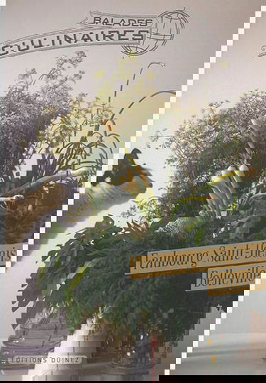 Balades culinaires : le faubourg Saint-Denis, la rue Sainte-Marthe, Belleville : 10e et 20e arrondissements de Paris