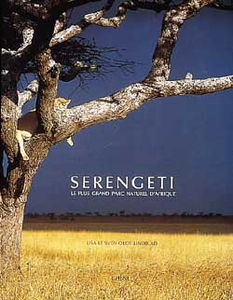 Serengeti : le plus grand parc naturel d'Afrique