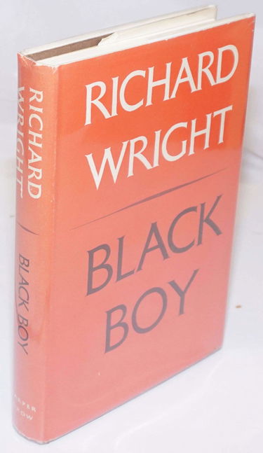 Black Boy : jeunesse noire