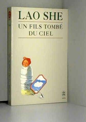Un Fils tombé du ciel