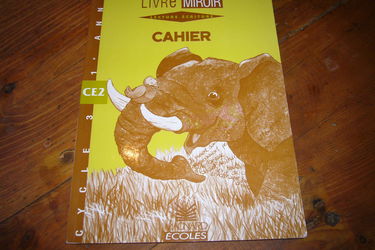 Lecture écriture, CE2 cycle 3 1re année : cahier