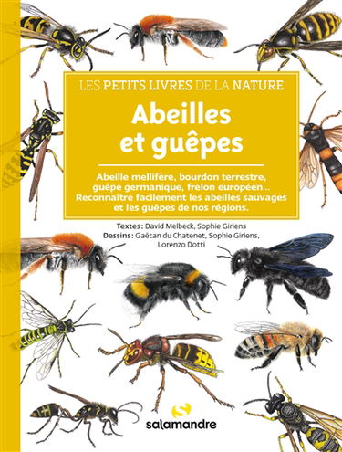 Abeilles et guêpes : abeille mellifère, bourdon terrestre, guêpe germanique, frelon européen... : reconnaître facilement les abeilles sauvages et les guêpes de nos régions