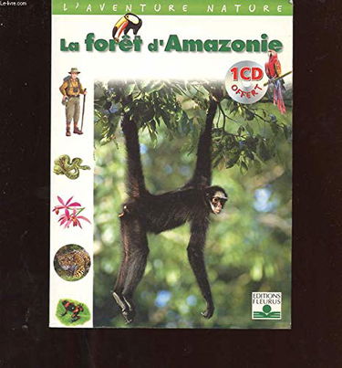 La forêt d'Amazonie