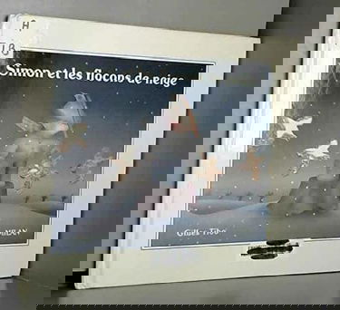 Simon et les flocons de neige