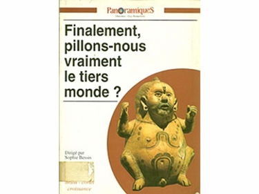 Panoramiques, n° 8. Finalement, pillons-nous vraiment le tiers-monde ?