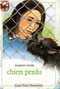 Chien perdu