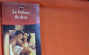 La brûlure du désir (Collection Rouge passion)