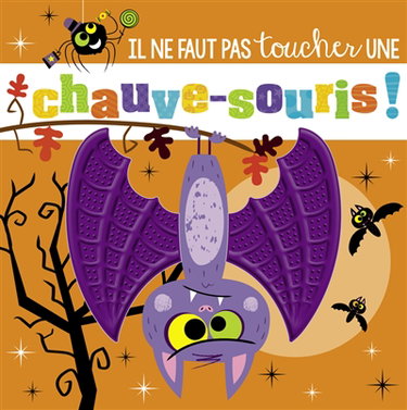Couverture de Il ne faut pas toucher une chauve-souris !