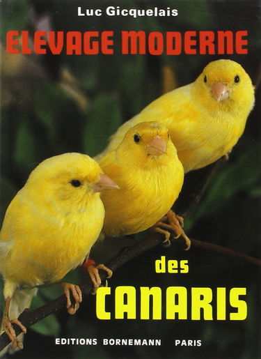 Elevage moderne des canaris
