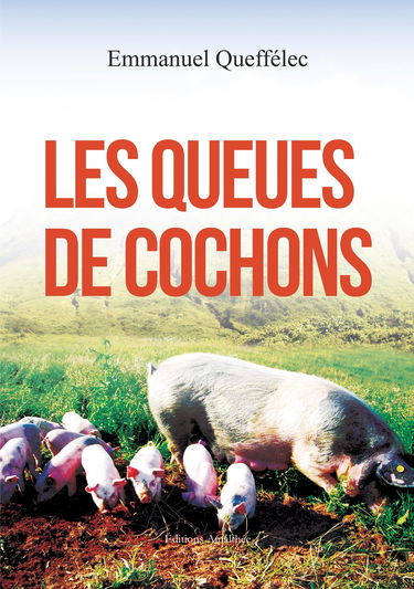 Les queues de cochon