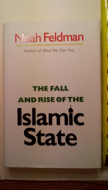 Couverture de The Fall and Rise of the Islamic State
