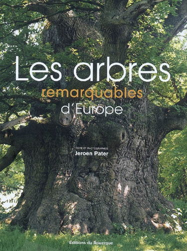 Les arbres remarquables d'Europe : une promenade parmi les arbres les plus impressionnants d'Europe