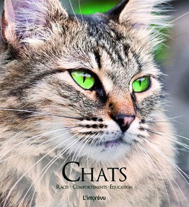 Chats : races, comportements, éducation