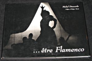 Couverture de Etre flamenco