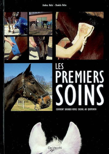 Les premiers soins : comment soigner votre cheval au quotidien