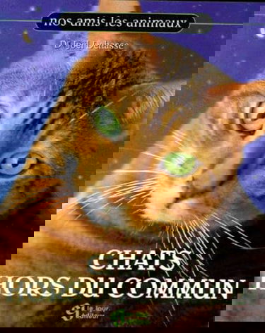 CHATS HORS DU COMMUN