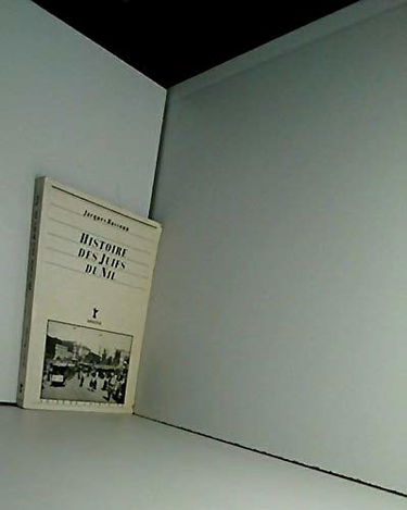 Histoire des Juifs du Nil