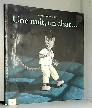 Une nuit, un chat