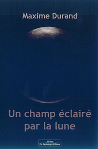 Un champ éclairé par la lune