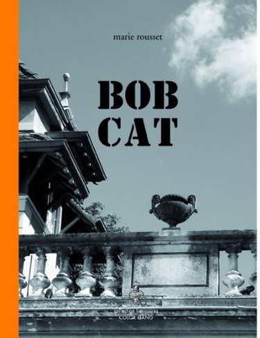 Couverture de Bobcat