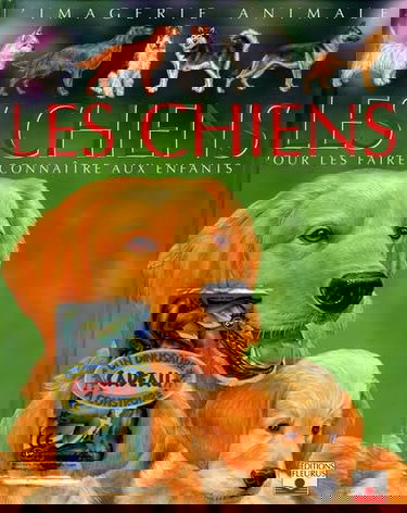 Les chiens: Pour les faire connaître aux enfants