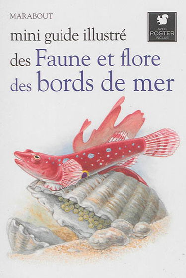 Mini guide illustré des faune et flore des bords de mer