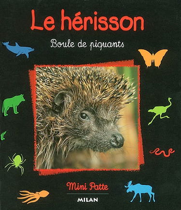 Le hérisson : boule de piquants