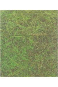 François Righi, Summa Pavonica