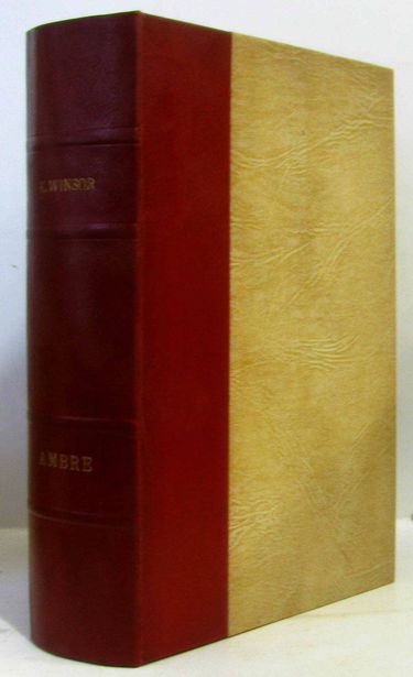 Ambre. traduit de l'anglais par edith vincent.