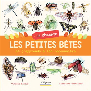 Je découvre les petites bêtes : et j'apprends à les reconnaître