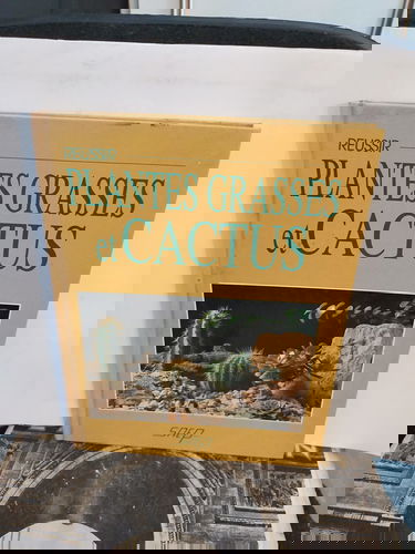 Réussir plantes grasses et cactus